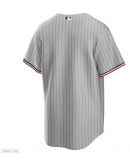 Men's Minnesota Twins Nike Gray Road Replica Team Jersey